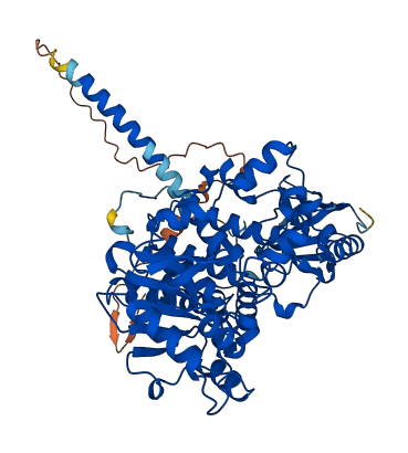MTMR6 3D structure