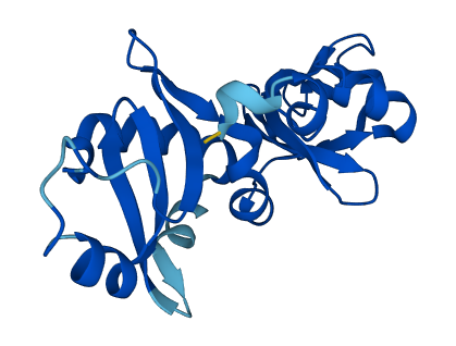 NIP7 3D structure