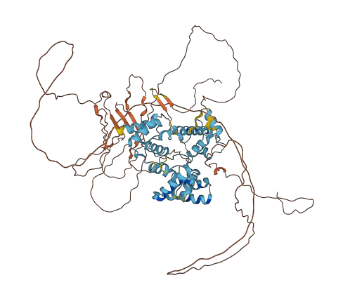 DMTF1 3D structure