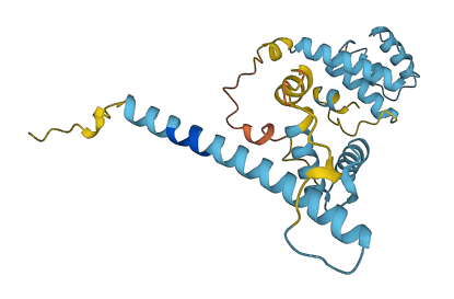 RTRAF 3D structure