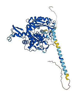 ENTPD4 3D structure