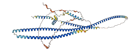 TRAF3IP3 3D structure