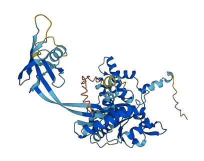 RUVBL2 3D structure