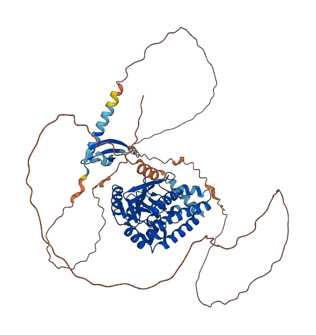 CDYL 3D structure