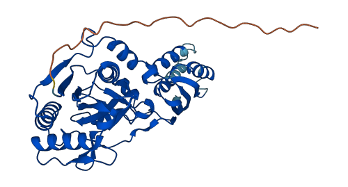 LIPT1 3D structure