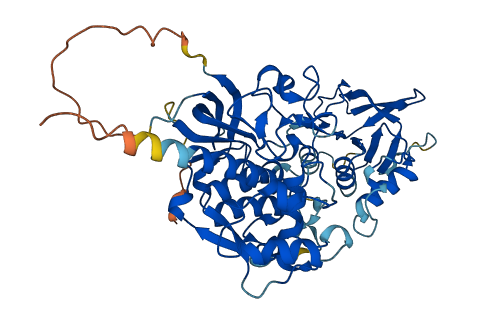 OSGIN2 3D structure