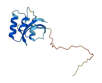 PIN4 3D structure