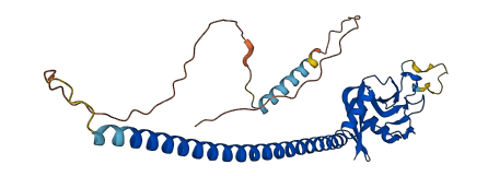 CLEC11A 3D structure