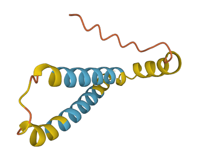 HIGD1A 3D structure