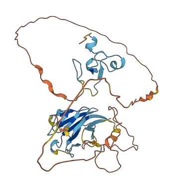 TCF19 3D structure