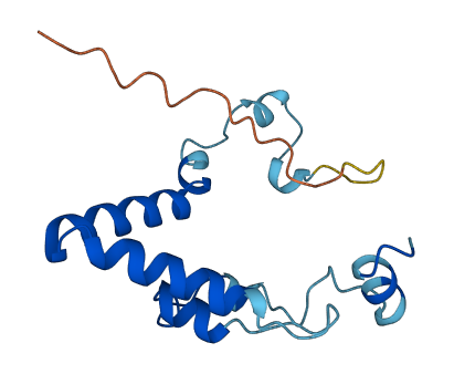 POMP 3D structure