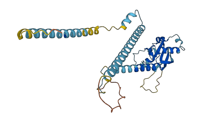 FAM50B 3D structure