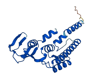 GINS2 3D structure