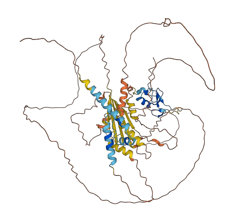 RNF6 3D structure