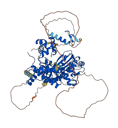 POLH 3D structure