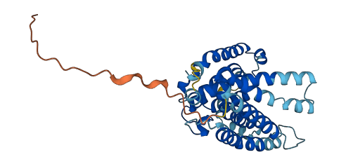 RCE1 3D structure