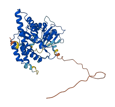CHKB 3D structure