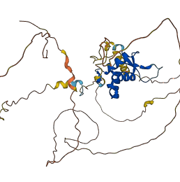 FOXA2 3D structure
