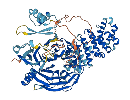 PLAA 3D structure
