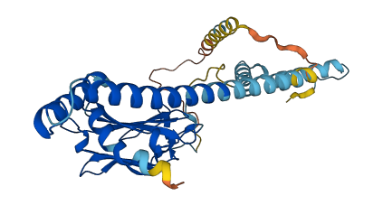NUDC 3D structure