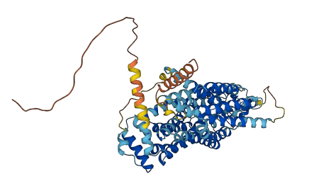 SLC22A14 3D structure