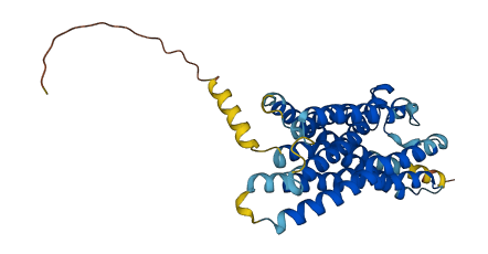 CYSLTR1 3D structure
