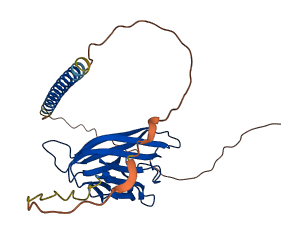 TNFSF13B 3D structure