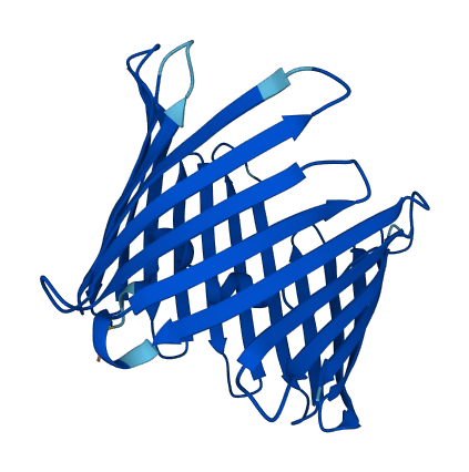 VDAC3 3D structure