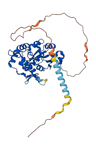 HS3ST2 3D structure