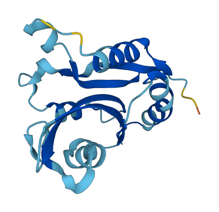 CFL2 3D structure
