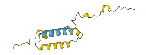 WDR83OS 3D structure
