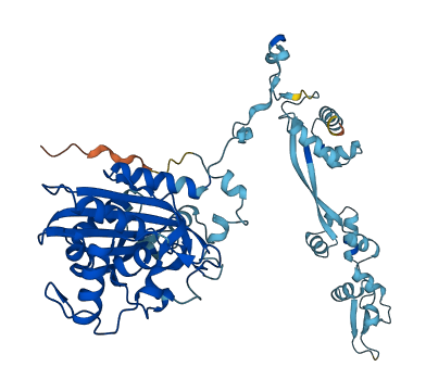 FARSA 3D structure