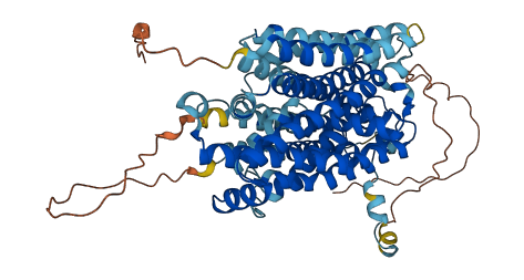 SLC5A6 3D structure