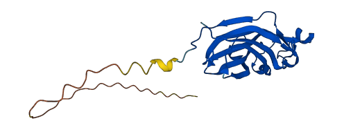 ASF1A 3D structure