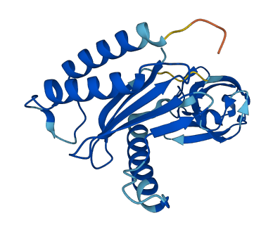 TRAPPC4 3D structure