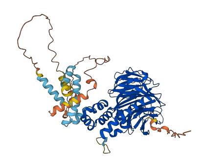 BTRC 3D structure