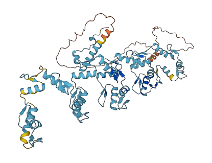 ZNF443 3D structure