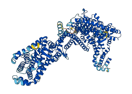 NCKAP1 3D structure