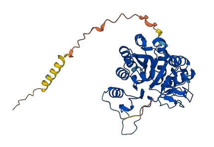B3GNT3 3D structure