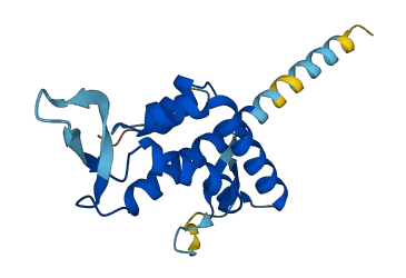 CNPY2 3D structure