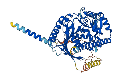 RXYLT1 3D structure