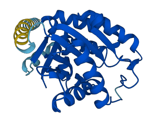 PIGL 3D structure