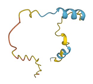 PKIG 3D structure