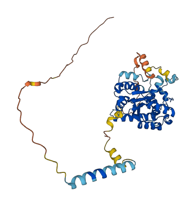 UST 3D structure