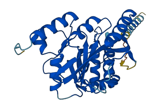 B3GALT5 3D structure