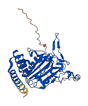 EXOG 3D structure