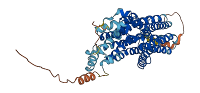 SLC17A4 3D structure