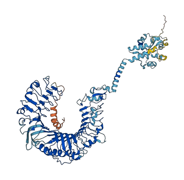 TLR6 3D structure
