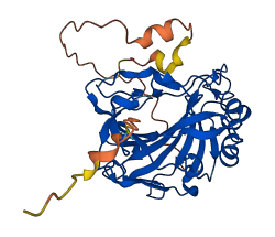 CA5B 3D structure