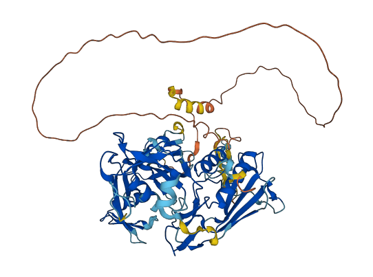 DTX4 3D structure